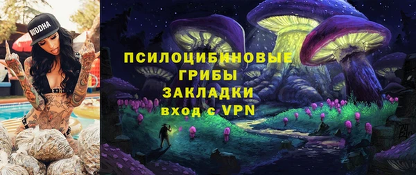 дживик Арсеньев